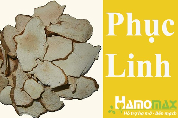 Phục Linh trong thành phần của Kim kê đả thạch