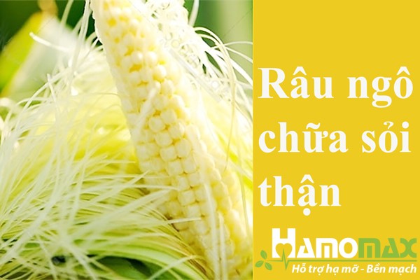 Từ xa xưa người ta đã dùng Râu ngô để chữa bệnh sỏi thận