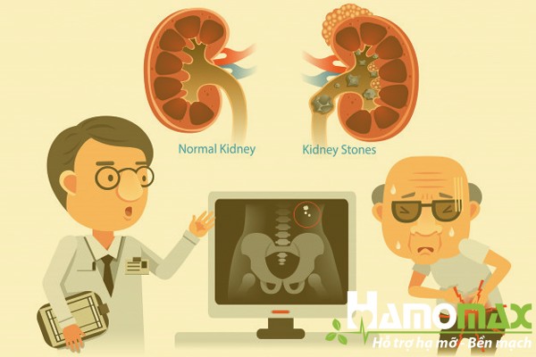Tác dụng - Công dụng của Kim Kê Đả Thạch