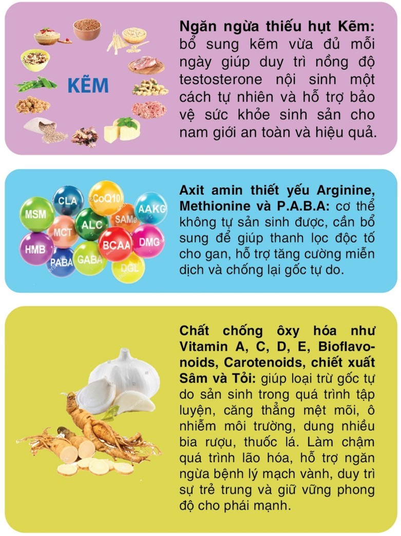 tác dụng Wellman Conception