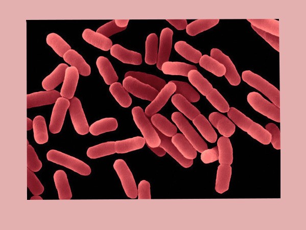 Biotri