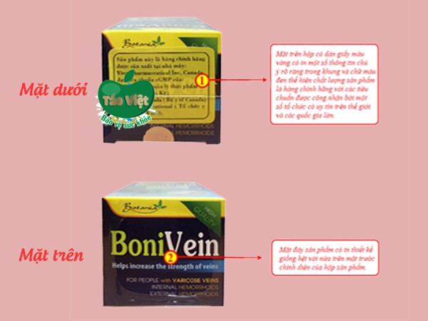 bonivein_13