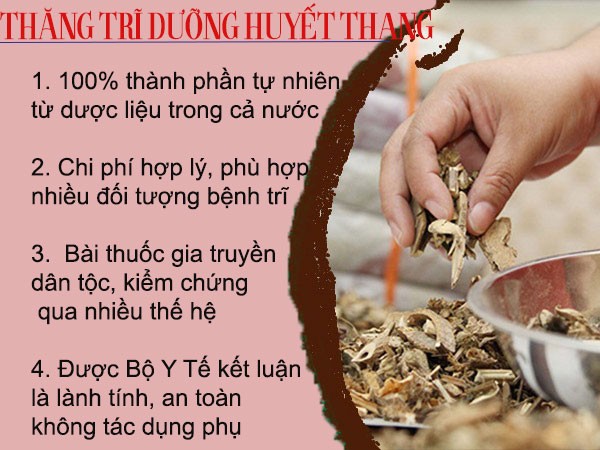 Thăng Trĩ Dưỡng Huyết Thang