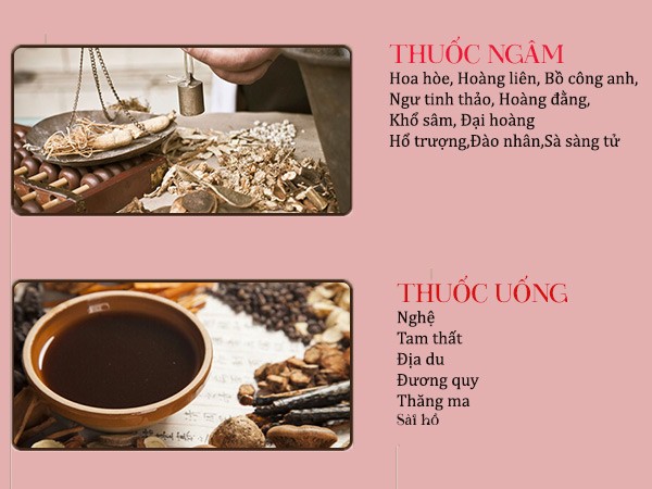 Thăng Trĩ Dưỡng Huyết Thang