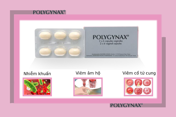 Công dụng nổi bật của Polygynax