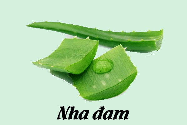 Lấy nha đam làm gel bôi trơn.