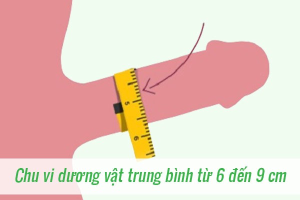 ăng kích thước dương vật