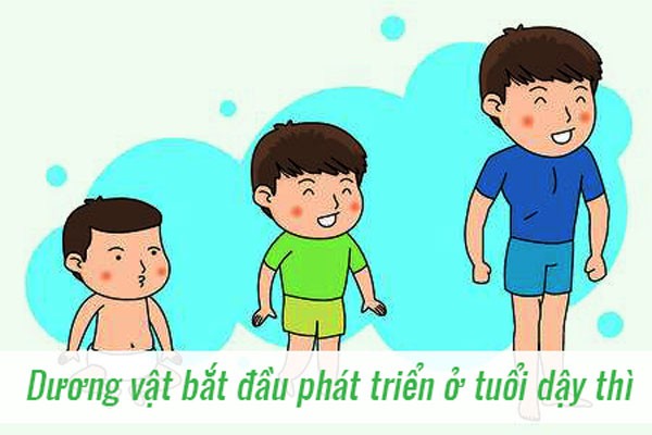 ăng kích thước dương vật