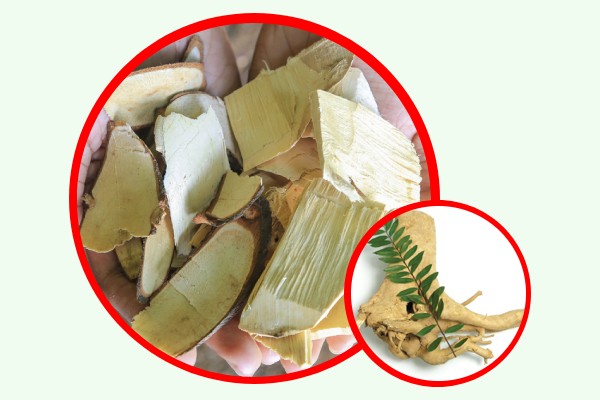 Cây mật nhân được dân gian gọi là “cây bách bệnh”