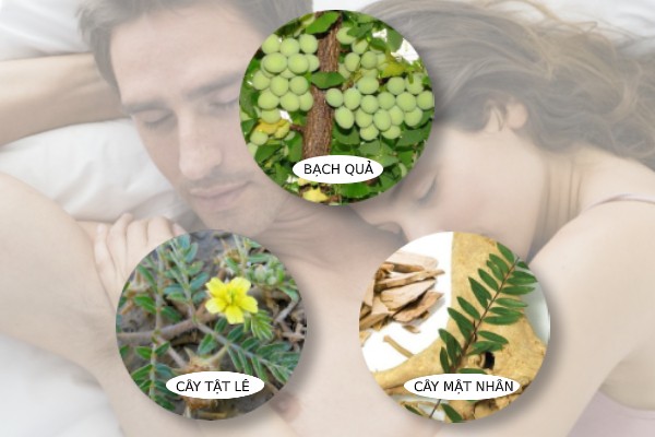 Sâm Alipas Platinum có chứa nhiều thảo dược quý