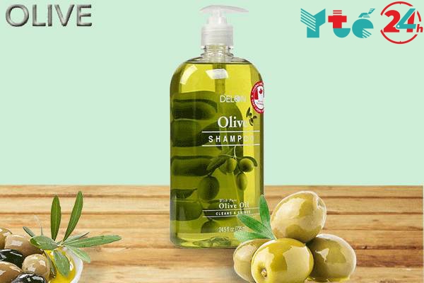 Các sản phẩm dầu gội Olive