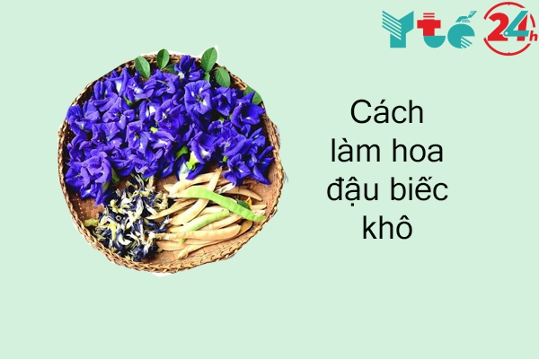 Cách làm Trà hoa đậu biếc khô từ hoa đậu biếc tươi