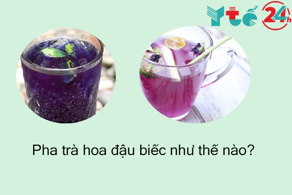 Cách pha trà hoa đậu biếc