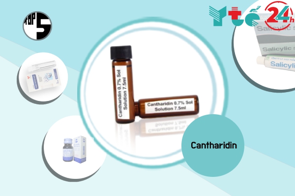 Cantharidin là sản phẩm quen thuộc trị mụn cóc
