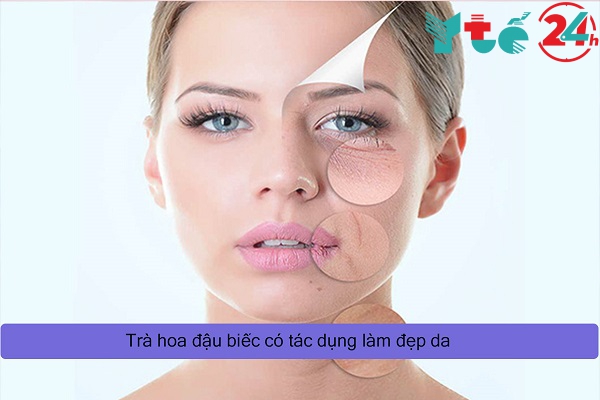 Tác dụng của trà hoa đậu biếc trên da