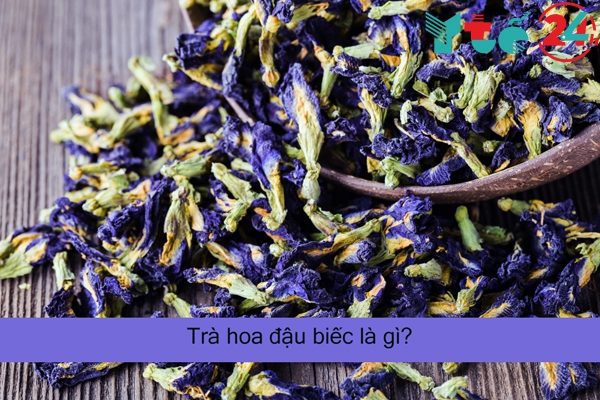 Trà hoa đậu biếc là gì?
