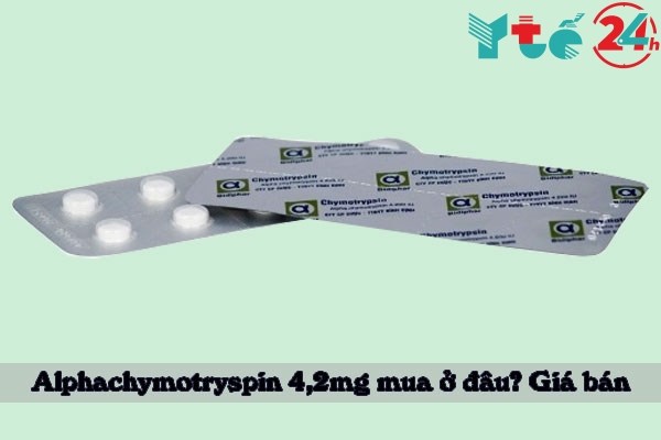 Thuốc Alphachymotrypsin 4,2 mg có giá bao nhiêu?