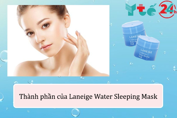 Thành phần Laneige Water Sleeping Mask