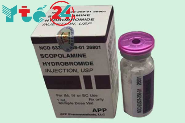 Thuốc ngủ dạng bột Scopolamine