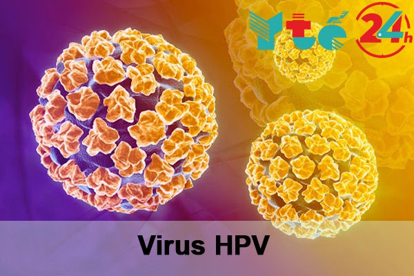 Bệnh sùi mào ga do Virus HPV gây nên 