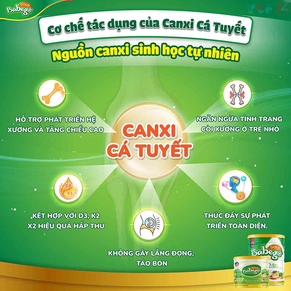 Cơ chế tác dụng của Canxi Cá Tuyết trong sữa Babego Gold