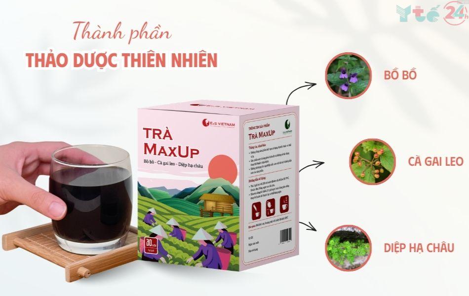 Thành phần thảo dược thiên nhiên trong trà MaxUp