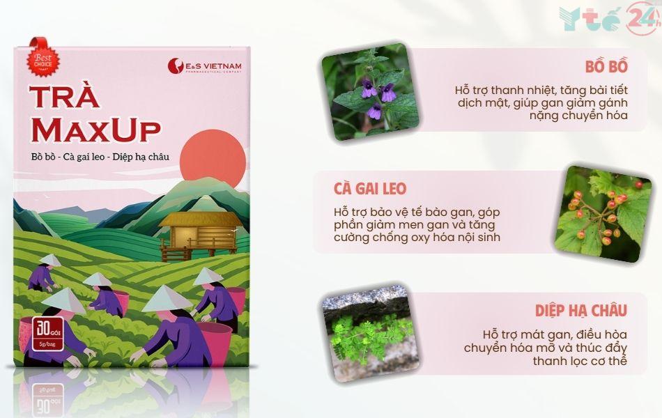 Trà MaxUp tối ưu tỉ lệ thành phần, hỗ trợ giảm nhanh các tình trạng “nóng gan”