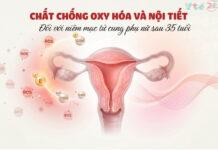 Tầm quan trọng của chất chống oxy hóa và nội tiết đối với niêm mạc tử cung ở phụ nữ trên 35 tuổi