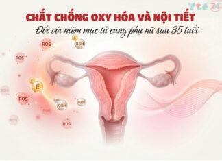 Tầm quan trọng của chất chống oxy hóa và nội tiết đối với niêm mạc tử cung ở phụ nữ trên 35 tuổi