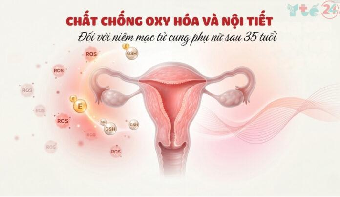 Tầm quan trọng của chất chống oxy hóa và nội tiết đối với niêm mạc tử cung ở phụ nữ trên 35 tuổi