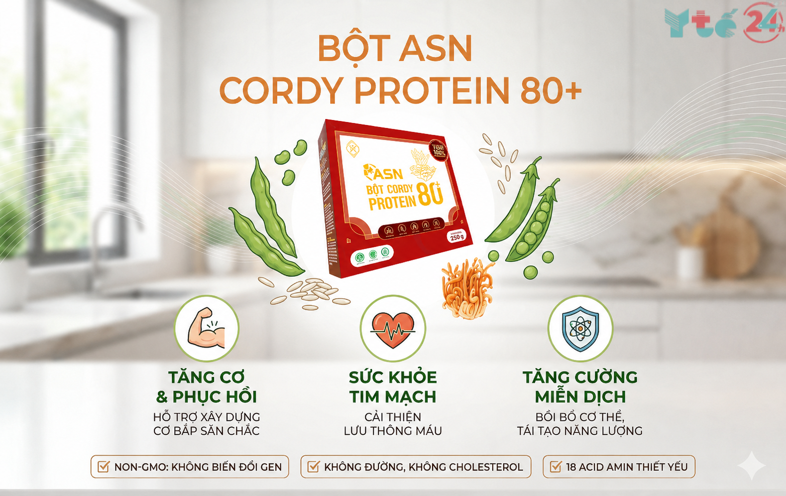 Lợi ích nổi bật của Bột ASN Cordy Protein 80+