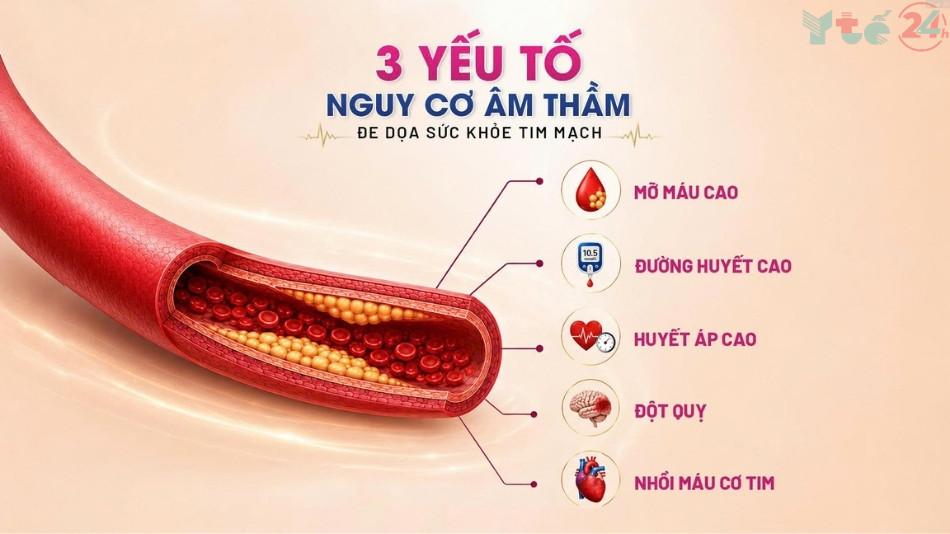 Chủ động kiểm soát nguy cơ tim mạch cùng CaloSure America+: Xu hướng chăm sóc sức khỏe từ dinh dưỡng chuyên biệt 7 CaloSure America+