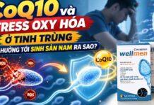 CoQ10 và stress oxy hóa ở tinh trùng ảnh hưởng tới sinh sản nam ra sao? CoQ10 và stress oxy hóa ở tinh trùng