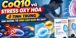 CoQ10 và stress oxy hóa ở tinh trùng