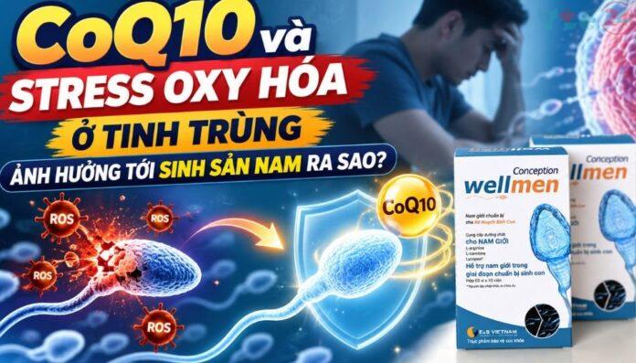 CoQ10-stress-oxy-hoa-o-tinh-trung-1 CoQ10 và stress oxy hóa ở tinh trùng